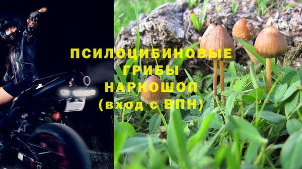 амф Белоозёрский