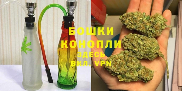 ПСИЛОЦИБИНОВЫЕ ГРИБЫ Белокуриха
