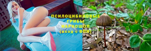 амф Белоозёрский