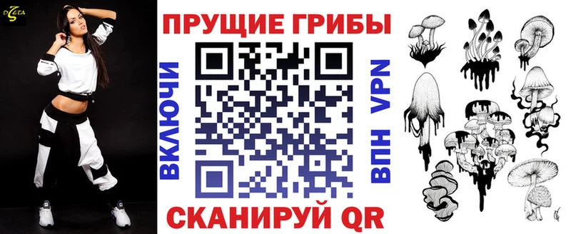 Купить где  Белая Холуница  Галлюциногенные грибы прущие грибы 